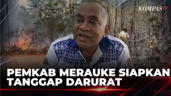 Pemkab Merauke Siapkan Status Tanggap Darurat Karhutla Dan Kekeringan | KOMPAS SIANG