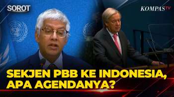 Sekjen PBB Antonio Guterres Kunjungi Indonesia, Bakal Bahas Penguatan Kerja Sama Multilateral