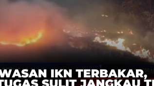 kebakaran-hutan-di-kawasan-embung-ikn-petugas-terkendala-medan-sulit-kompas-siang