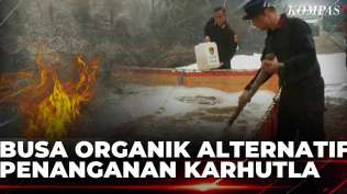 upaya-pemadaman-karhutla-di-palangka-raya-busa-organik-bisa-jadi-alternatif-sapa-malam