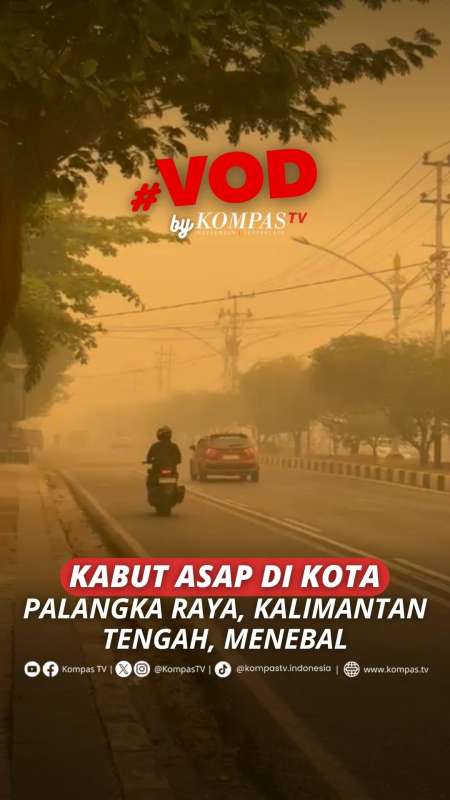 KABUT ASAP DI KOTA PALANGKA RAYA MENEBAL
