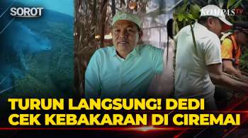 Momen Dedi Mulyadi Turun Langsung! Ikut Padamkan Karhutla Di Ciremai
