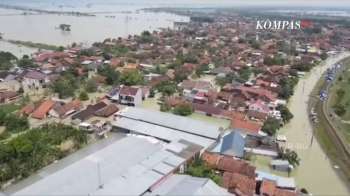 Banjir Rob Ancam 50 Juta Penduduk Pantura, Mangrove Jadi Harapan Warga Lindungi Pesisir | SUSTENESIA