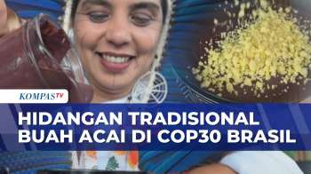 Unik! Acai Tradisional Brasil Kejutkan Pengunjung COP30, Disajikan Jadi Smoothies | KOMPAS PAGI