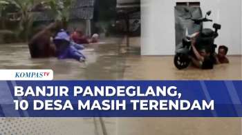 Penampakan Banjir Rendam 10 Desa di Pandeglang Banten, Ketinggian Air Capai 1 Meter | BERUT