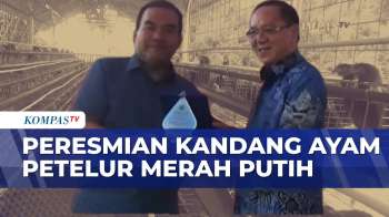 Pemkab Blora Resmikan Kandang Ayam Petelur Merah Putih | JMP