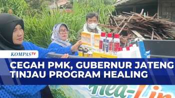 Gubernur Jateng Tinjau Pelaksanaan Program “Healing” Pada Hewan Ternak Untuk Cegah PMK