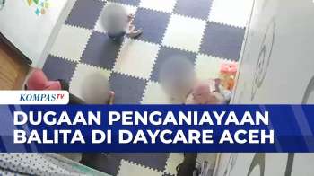 Kasus Penganiayaan Balita di Daycare Banda Aceh, Polisi Periksa Saksi & Terduga Pelaku