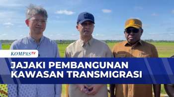Dorong Ekosistem, Menteri Transmigrasi Kunjungi Merauke Bersama Dubes Tiongkok | JMP