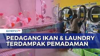 Listrik Padam Bergilir, Penjual Ikan Hias hingga Usaha Laundry Menjerit | BERUT