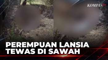 Perempuan Lansia Tewas Mengenaskan Di Sawah, Saksi Ungkap Cium Bau Tak Sedap| BORGOL