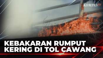 Kebakaran Rumput Kering Di Tol Dalam Kota Cawang, Asap Ganggu Jarak Pandang | KOMPAS MALAM
