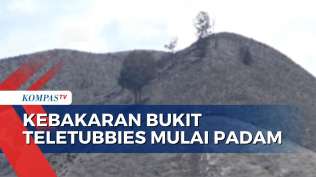 kebakaran-bukit-teletubbies-bromo-gara-gara-flare-prewedding-mulai-padam