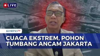 Pengamat Tata Kota Ungkap Penyebab Pohon Tumbang di Jakarta, Apa Solusinya? | KOMPAS MALAM