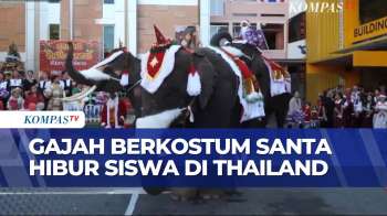 Rayakan Natal, 5 Gajah Berkostum Santa Bagi-Bagi Hadiah Ke Siswa Di Thailand