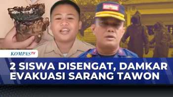 2 Siswa Disengat Tawon Vespa, Damkar Evakuasi Sarang Di Sekolah | SAPA SIANG