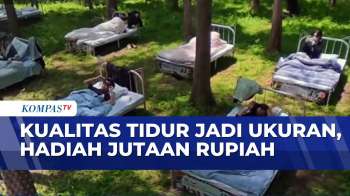 Unik! Kompetisi Tidur Digelar Di Shanghai | SAPA PAGI