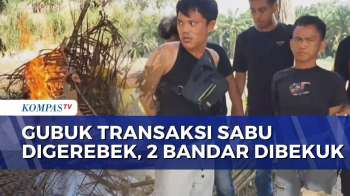 Polisi Gerebek Gubuk Transaksi Narkoba Di Lampung Tengah, 2 Bandar Ditangkap | BERUT