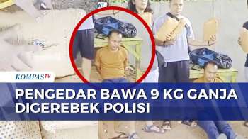 Gagal Beraksi! Pengedar Ganja Dibekuk Saat Bawa 9 Kilogram Barang Haram | BERUT
