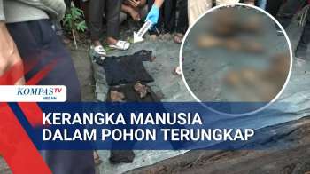 Misteri Kerangka Manusia Dalam Pohon Aren Terungkap