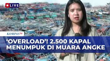 Pantauan Terkini Tumpukan 2.500 Kapal Di Muara Angke, Nelayan Keluhkan Tak Bisa Melaut