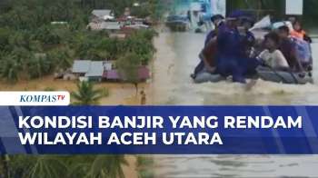 Penampakan Banjir Aceh Utara Dari Udara: Permukiman Tenggelam, Akses Terputus, Warga Dievakuasi