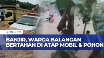 Terjebak Banjir Bandang, Begini Usaha Warga Balangan Bertahan Di Atap Mobil Dan Pohon