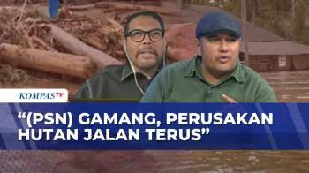 Soroti Penyebab Banjir Sumatera: Aktivis Singgung PSN Era Jokowi, DPR Kritik Pembebasan Hutan