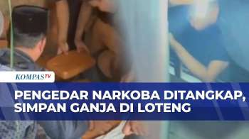 Jaringan Ganja Antarprovinsi Terbongkar, 3 Tersangka Dibekuk Di Pekanbaru Dan Kuantan Singingi