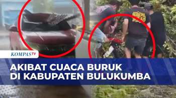 Angin Kencang Terjang Bulukumba: Mobil Tertimpa Atap Seng Dan Pohon Tumbang Timpa Pemotor