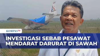 KNKT Investigasi Sebab Pesawat Mendarat Darurat Di Sawah, Wise Air: Sudah Uji Kelaikan