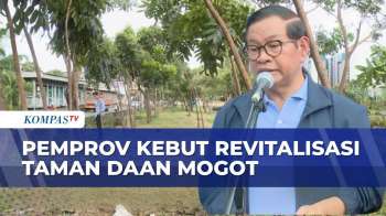 Pemprov Jakarta Kebut Revitalisasi Taman Daan Mogot Usai Dugaan Praktik Prostitusi