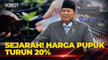Cetak Sejarah! Presiden Prabowo: Harga Pupuk RI Diturunkan 20%, 145 Aturan Penyaluran Dihilangkan