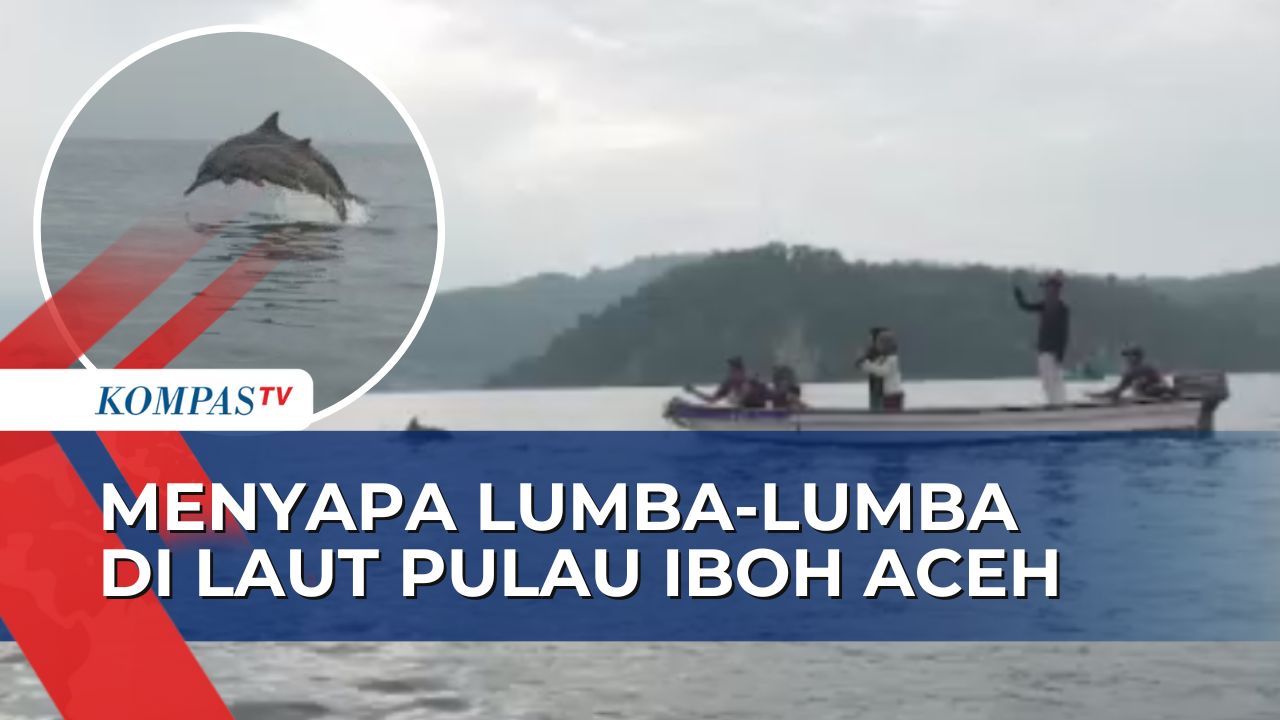 Video: Berwisata di Pulau Iboh Aceh, Menyaksikan Atraksi Lumba-lumba ...