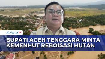 Bupati Aceh Tenggara Minta Kemenhut Lakukan Reboisasi Demi Cegah Banjir | JMP