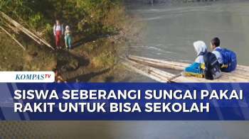 Jembatan Putus Diterjang Banjir, Siswa Di Jember Bertaruh Nyawa Seberangi Sungai Demi Sekolah