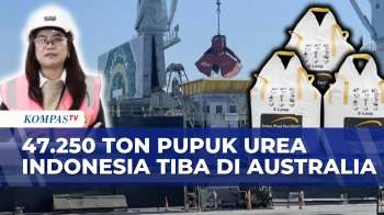 Indonesia Kirim 47.250 Ton Pupuk Urea Ke Australia Melalui Kerja Sama G2G | KOMPAS PAGI