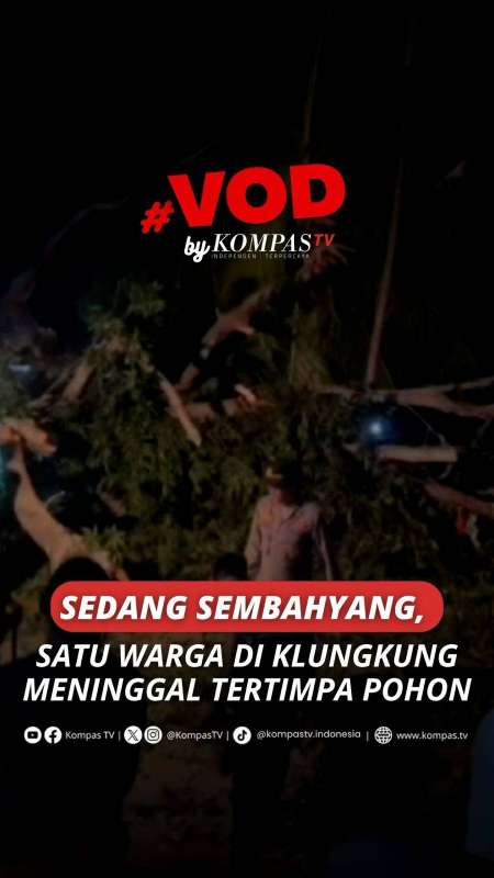 SEDANG SEMBAHYANG, SATU WARGA DI KLUNGKUNG MENINGGAL TERTIMPA POHON