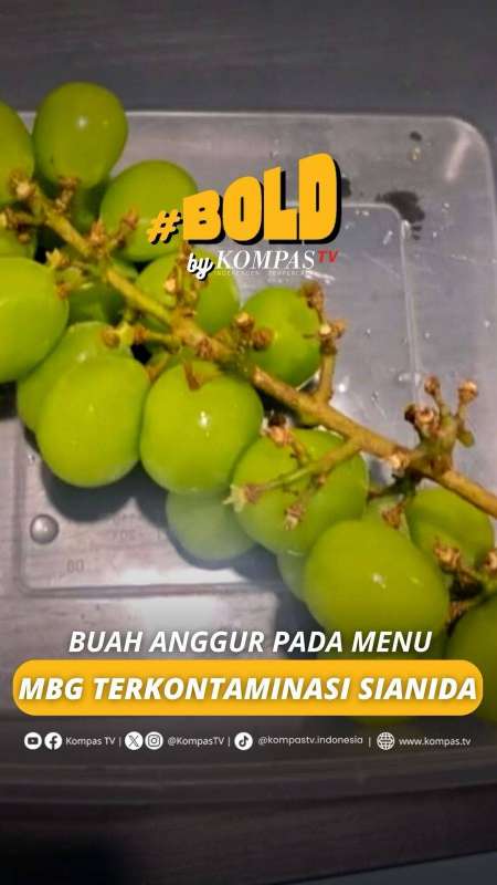 BUAH ANGGUR PADA MENU MBG TERKONTAMINASI SIANIDA