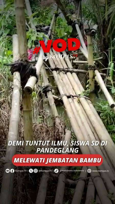 DEMI TUNTUT ILMU, SISWA SD DI PANDEGLANG MELEWATI JEMBATAN BAMBU