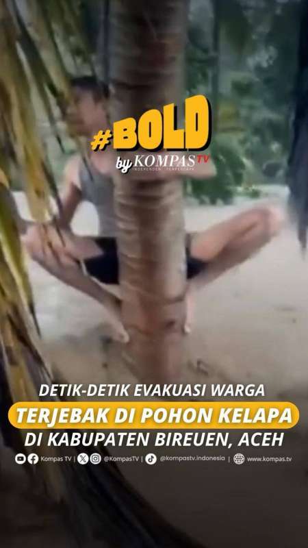 DETIK-DETIK EVAKUASI WARGA TERJEBAK DI POHON KELAPA DI KABUPATEN BIREUEN, ACEH