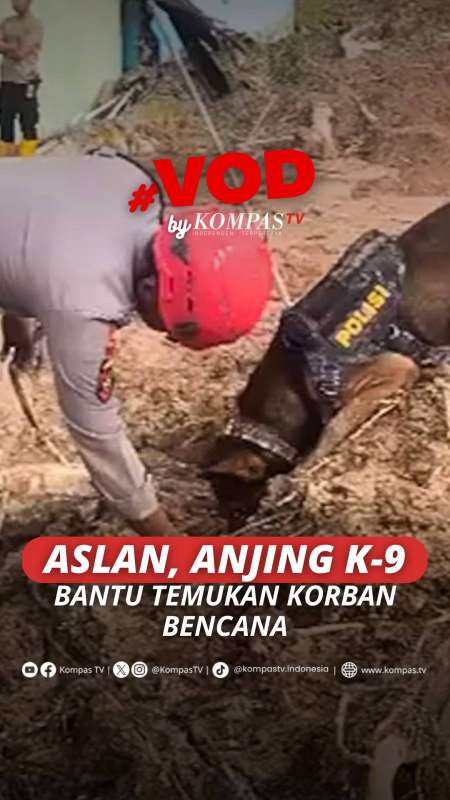 ASLAN, ANJING K-9 BANTU TEMUKAN KORBAN BENCANA