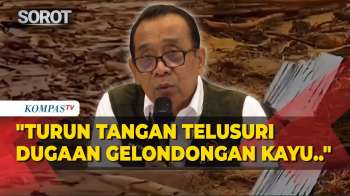 Pemerintah Telusuri Pihak Lakukan Pelanggaran Soal Kayu Gelondongan Terseret Arus Banjir Sumatera