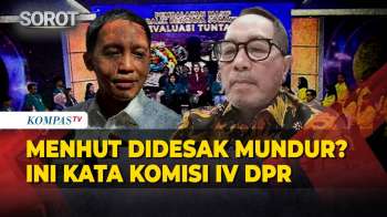 Menhut Didesak Mundur usai Banjir Sumatera, Ini Kata Komisi IV DPR - BOLA LIAR