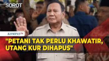 Janji Prabowo Ke Petani Aceh Terdampak Banjir: Utang KUR Dihapus
