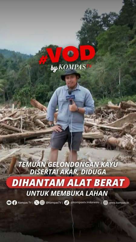 TEMUAN GELONDONGAN KAYU DISERTAI AKAR, DIDUGA DIHANTAM ALAT BERAT UNTUK MEMBUKA LAHAN
