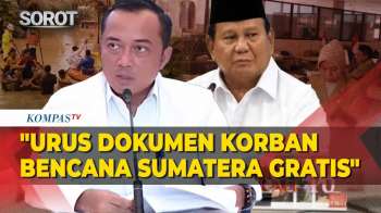 Arahan Prabowo Soal Pemulihan Pascabencana Sumatera: Urus Dokumen Gratis