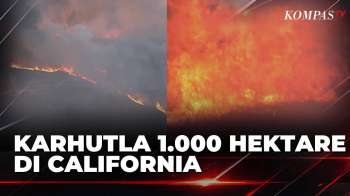 Kebakaran Hutan California Makin Meluas, Capai 1.000 Hektar! | SAPA SIANG