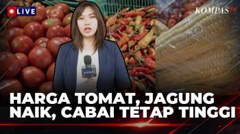 Diduga Dampak Kemarau Panjang, Harga Cabai Rawit Merah Rp100 Ribu Per Kilo Di Bandung | KOMPAS SIANG