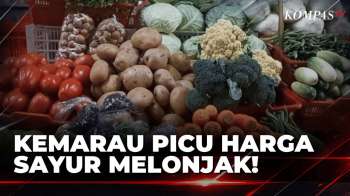 Kurang Pasokan Dampak Kemarau, Harga Sayuran Di Denpasar Naik| KOMPAS SIANG